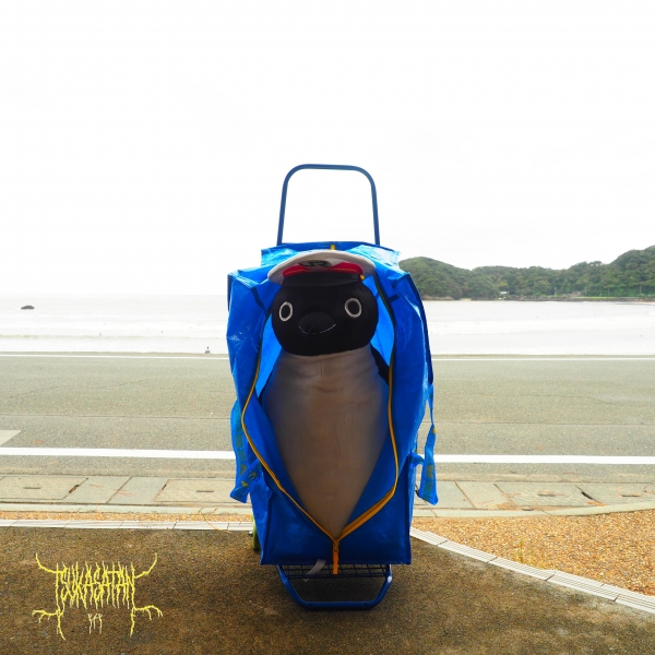 スイカペンギン＠弓ヶ浜海水浴場
