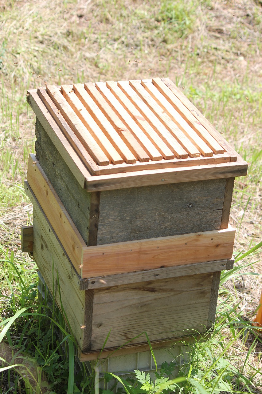 洋蜂巣箱の継ぎ箱