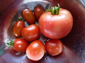 トマト３種類