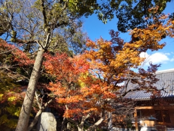 須磨寺4