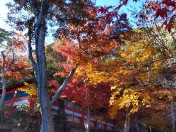 須磨寺10
