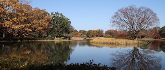 「国営昭和記念公園」水鳥の池付近