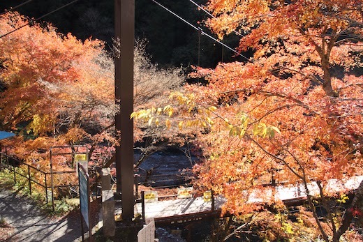 奥氷川神社付近の紅葉１