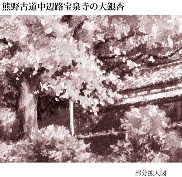ss42a熊野古道中辺路宝泉寺の大銀杏